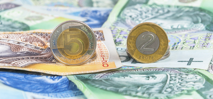 обмен валюты евро выгодный курс спб