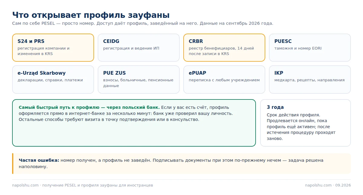 Схема: что открывает профиль зауфаны — S24, PRS, CRBR, PUESC, e-Urząd Skarbowy, PUE ZUS