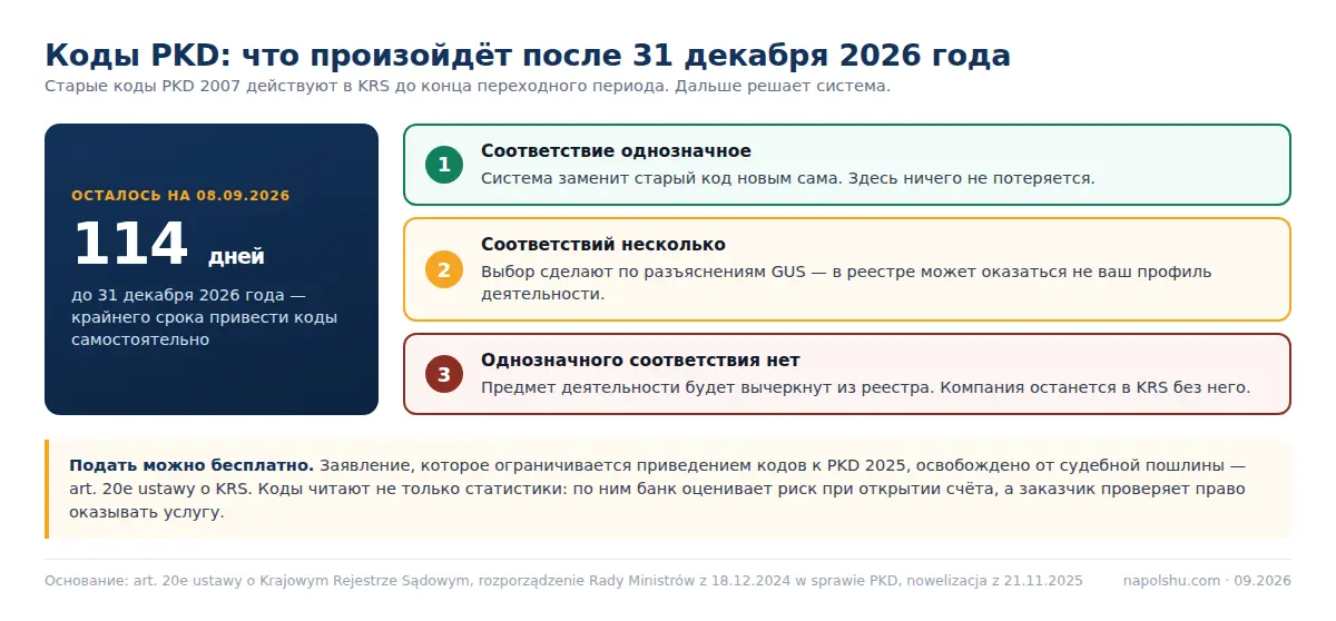 Три сценария автоматической замены кодов PKD в KRS после 31 декабря 2026 года